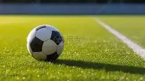 国际奥委会再谈奥运延期费用争议，旧文新发引关注