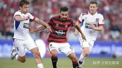 凯发娱乐 产品 101931 ndv