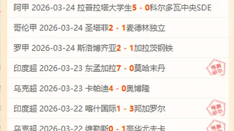 沙罗曼蛇3D PS5版玩家反馈：频繁崩溃问题
